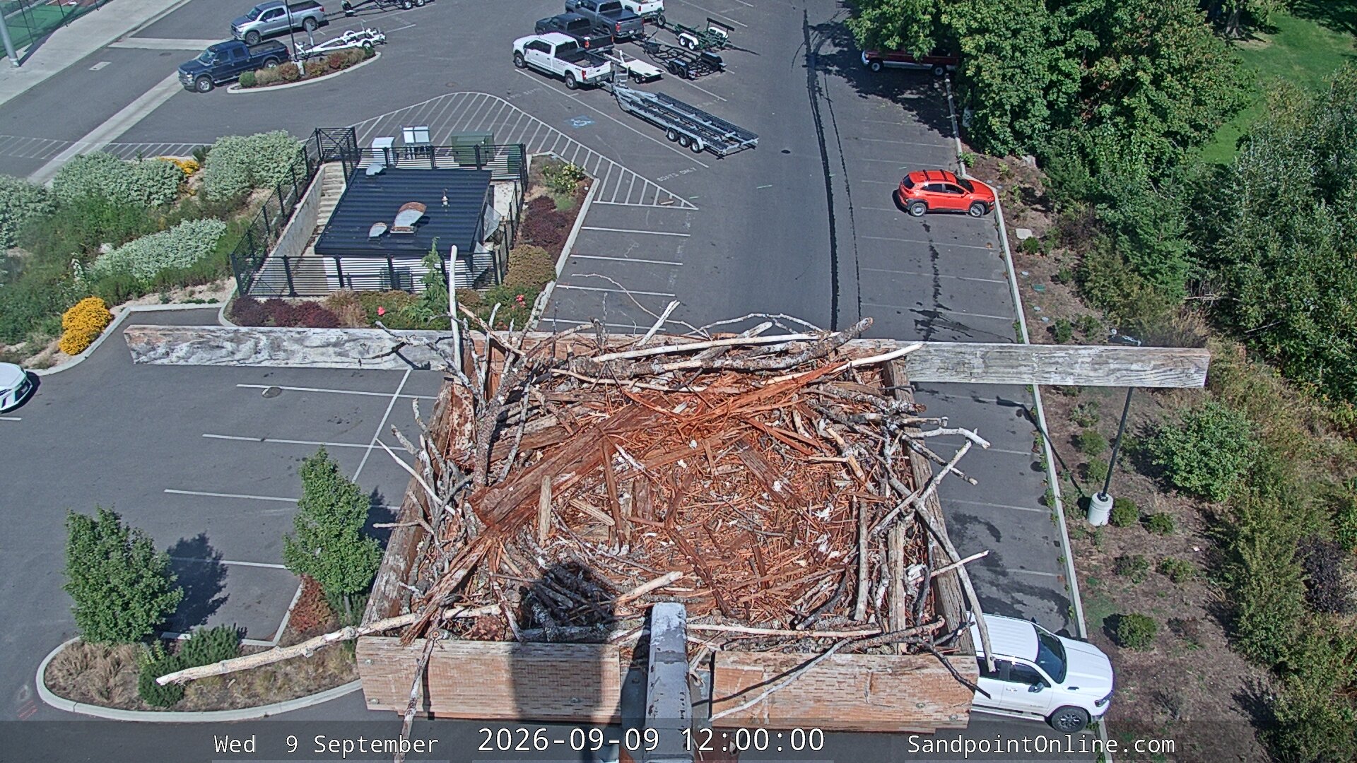 view from Sandpoint Online - Osprey Nest Time-lapse on 2026-09-09