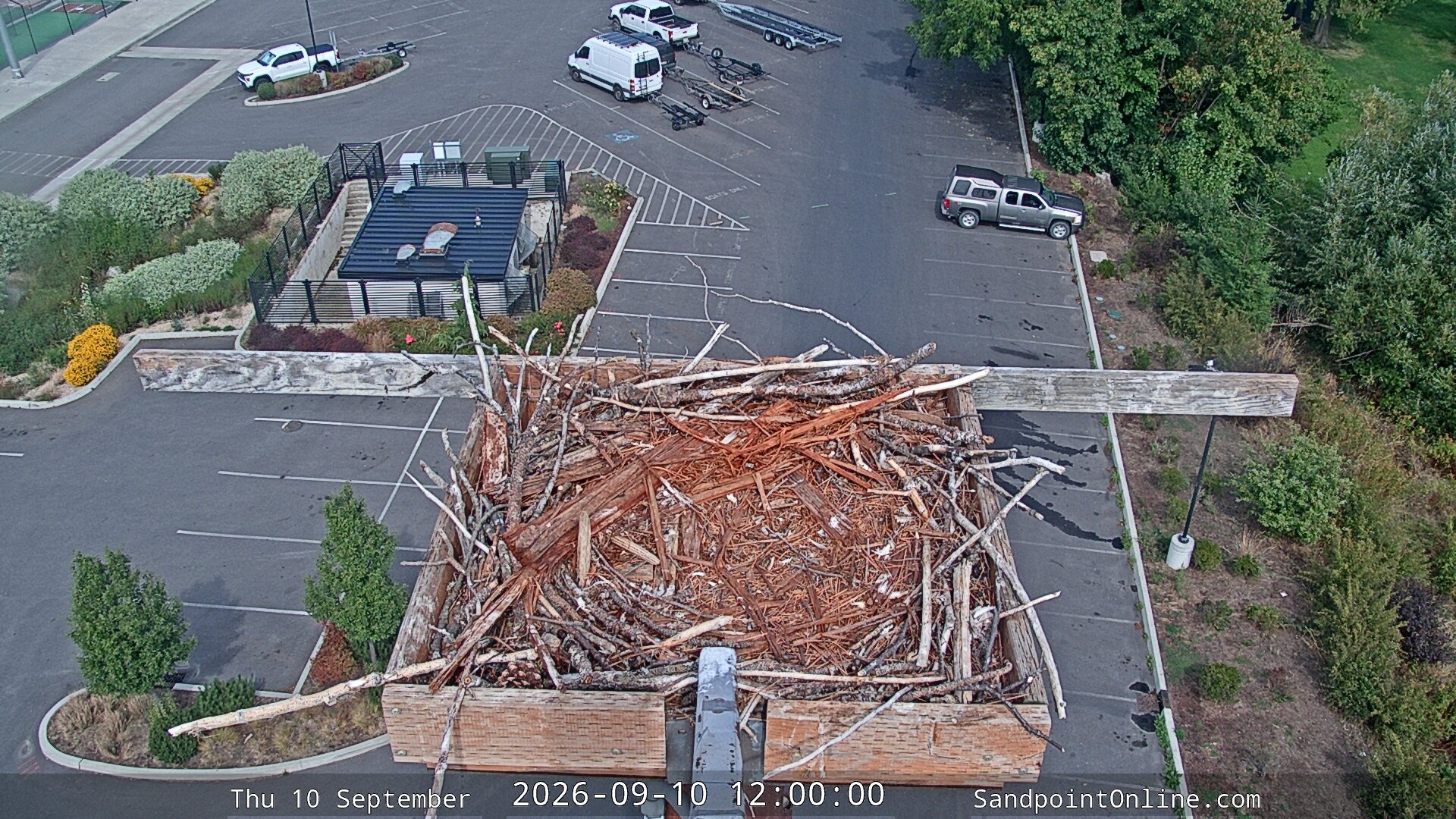 view from Sandpoint Online - Osprey Nest Time-lapse on 2026-09-10