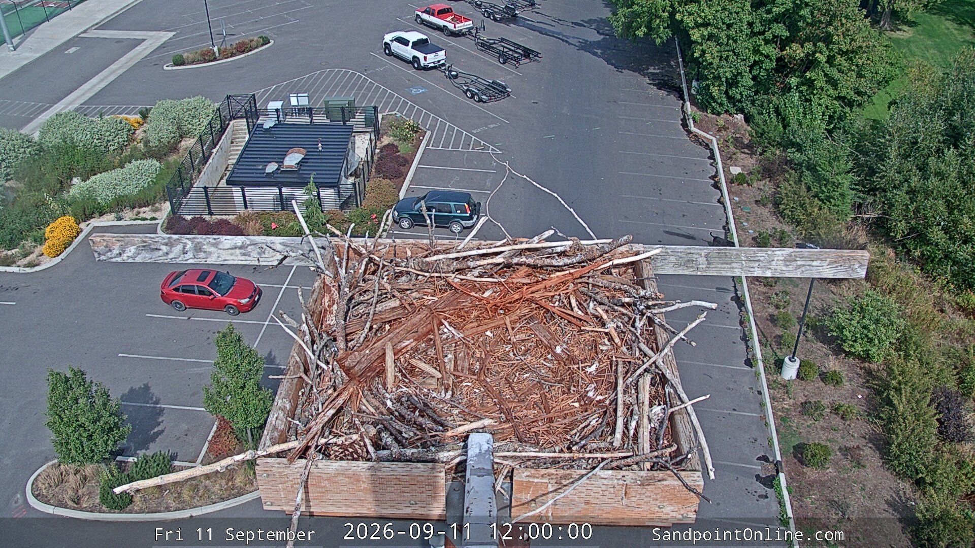 view from Sandpoint Online - Osprey Nest Time-lapse on 2026-09-11