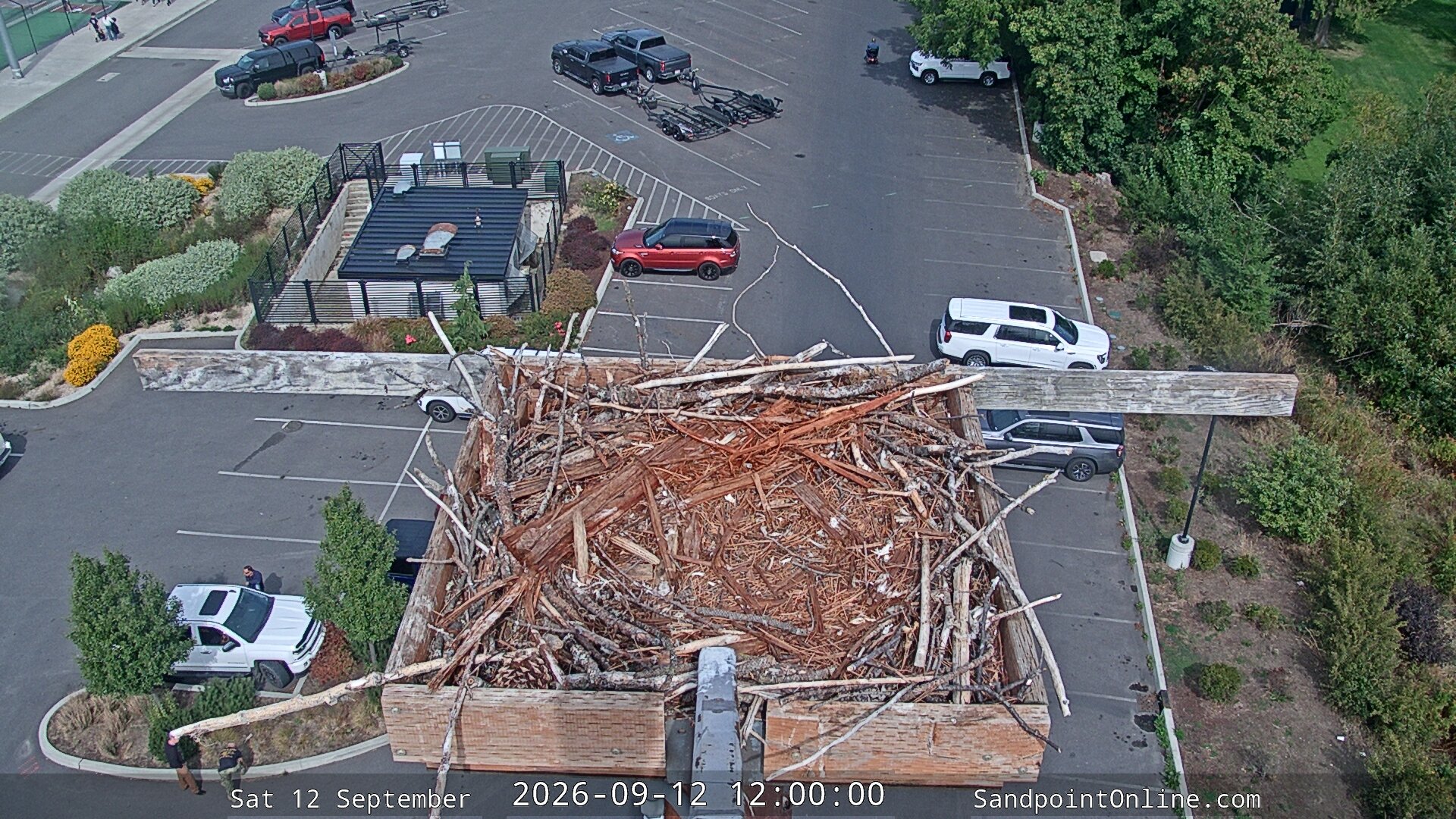 view from Sandpoint Online - Osprey Nest Time-lapse on 2026-09-12