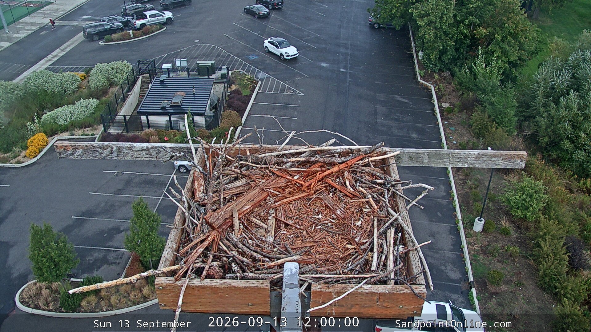 view from Sandpoint Online - Osprey Nest Time-lapse on 2026-09-13