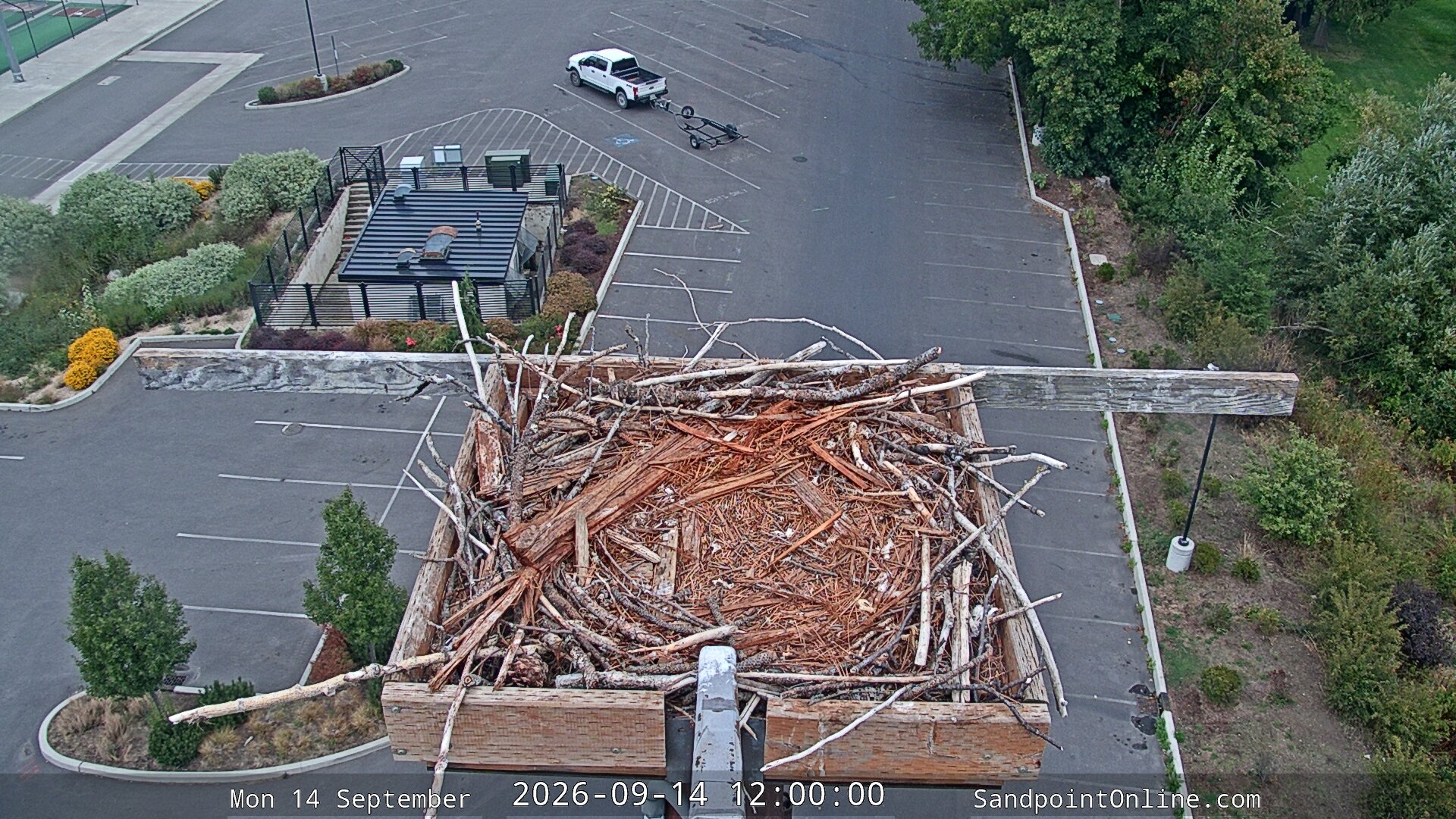 view from Sandpoint Online - Osprey Nest Time-lapse on 2026-09-14