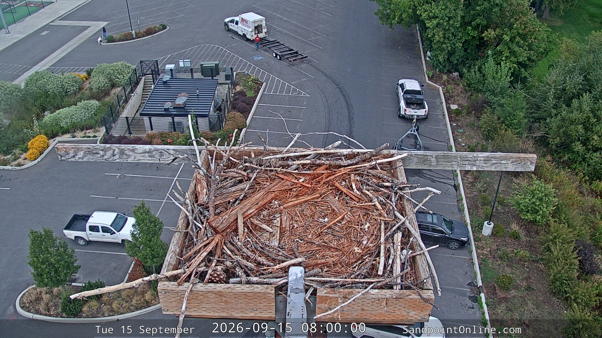 time-lapse frame, Sandpoint Online - Osprey Nest Time-lapse webcam