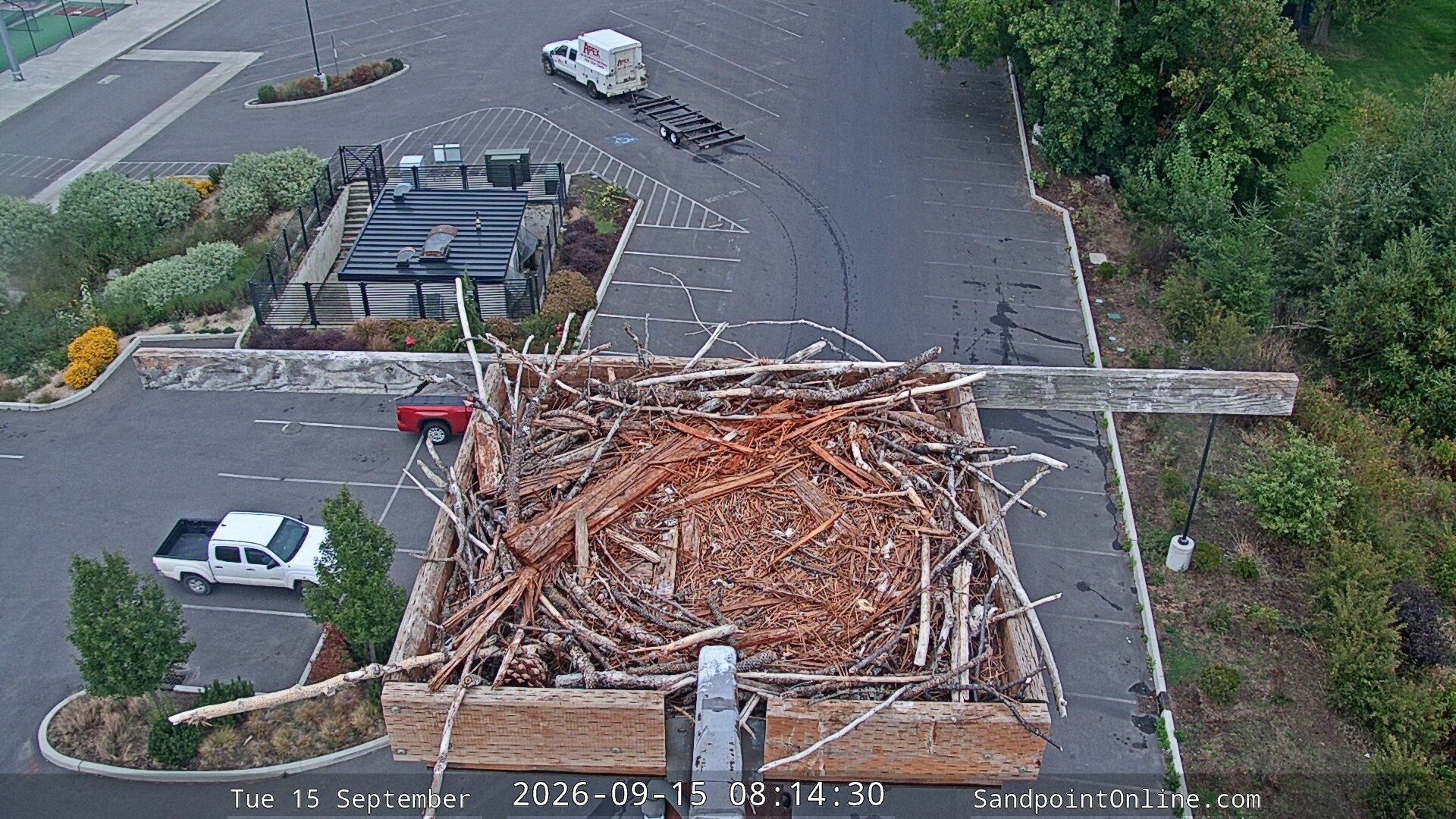 view from Sandpoint Online - Osprey Nest Time-lapse on 2026-09-15