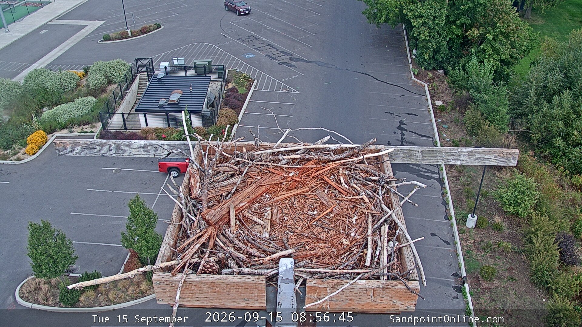 view from Sandpoint Online - Osprey Nest Time-lapse on 2026-09-15