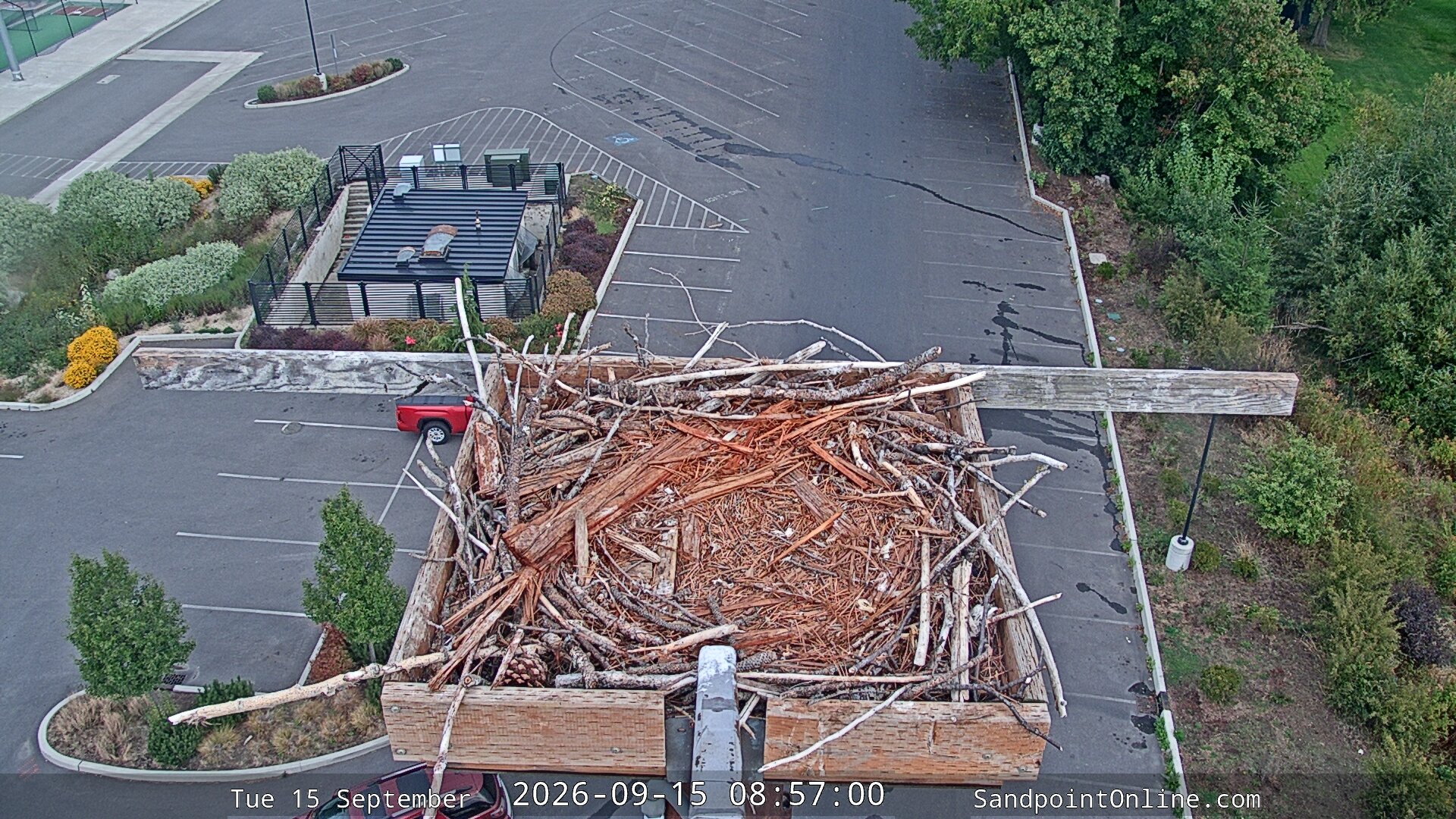 view from Sandpoint Online - Osprey Nest Time-lapse on 2026-09-15