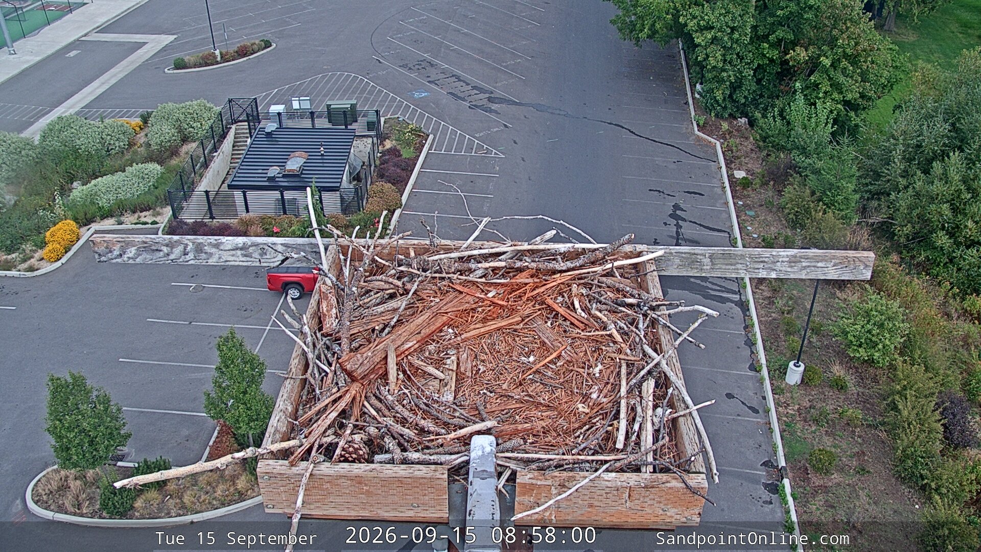 view from Sandpoint Online - Osprey Nest Time-lapse on 2026-09-15
