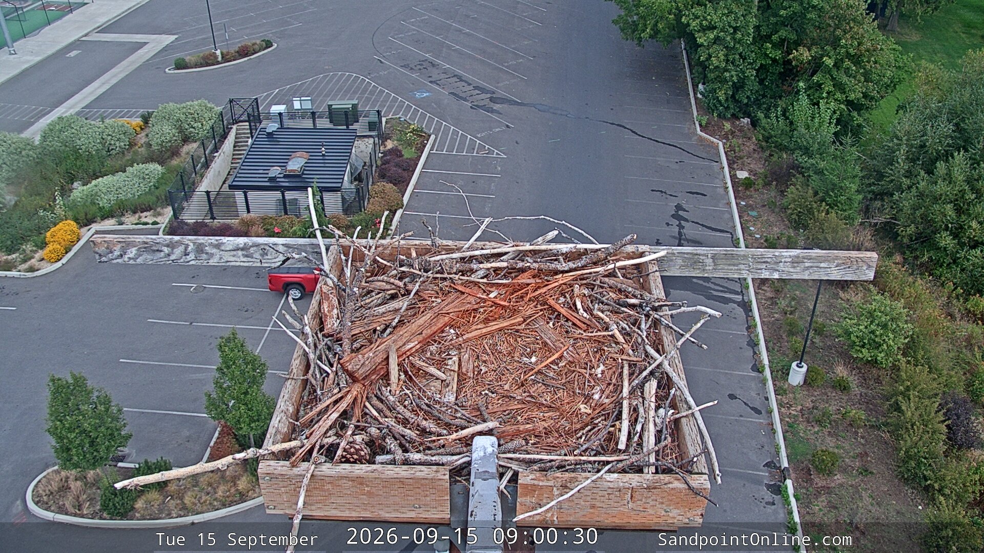 view from Sandpoint Online - Osprey Nest Time-lapse on 2026-09-15