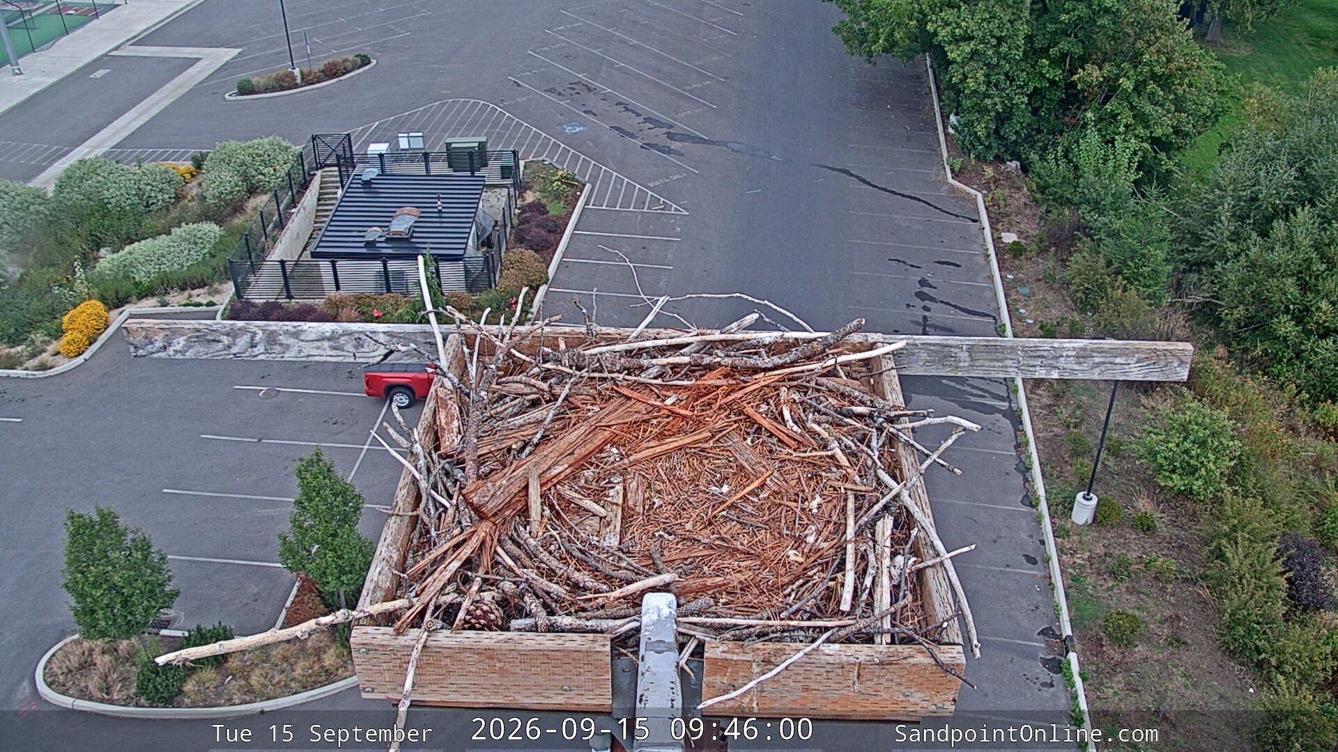 view from Sandpoint Online - Osprey Nest Time-lapse on 2026-09-15