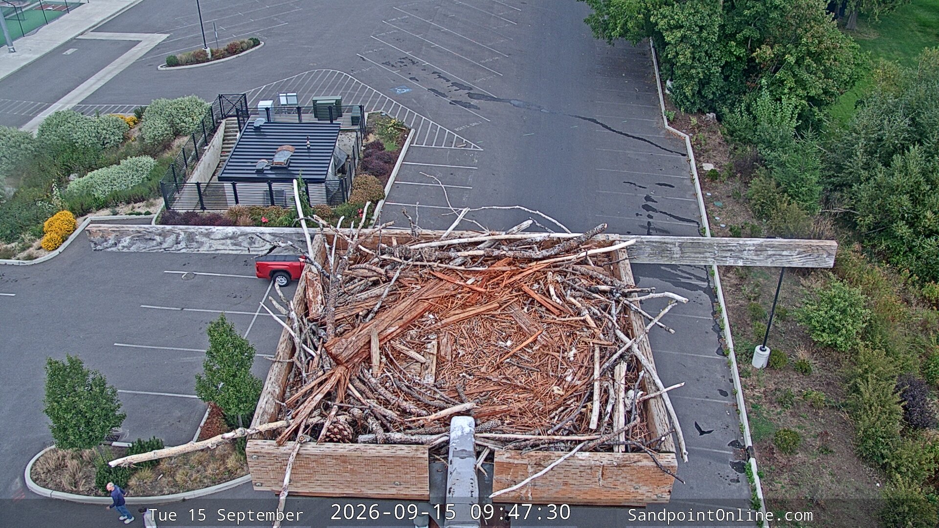 view from Sandpoint Online - Osprey Nest Time-lapse on 2026-09-15