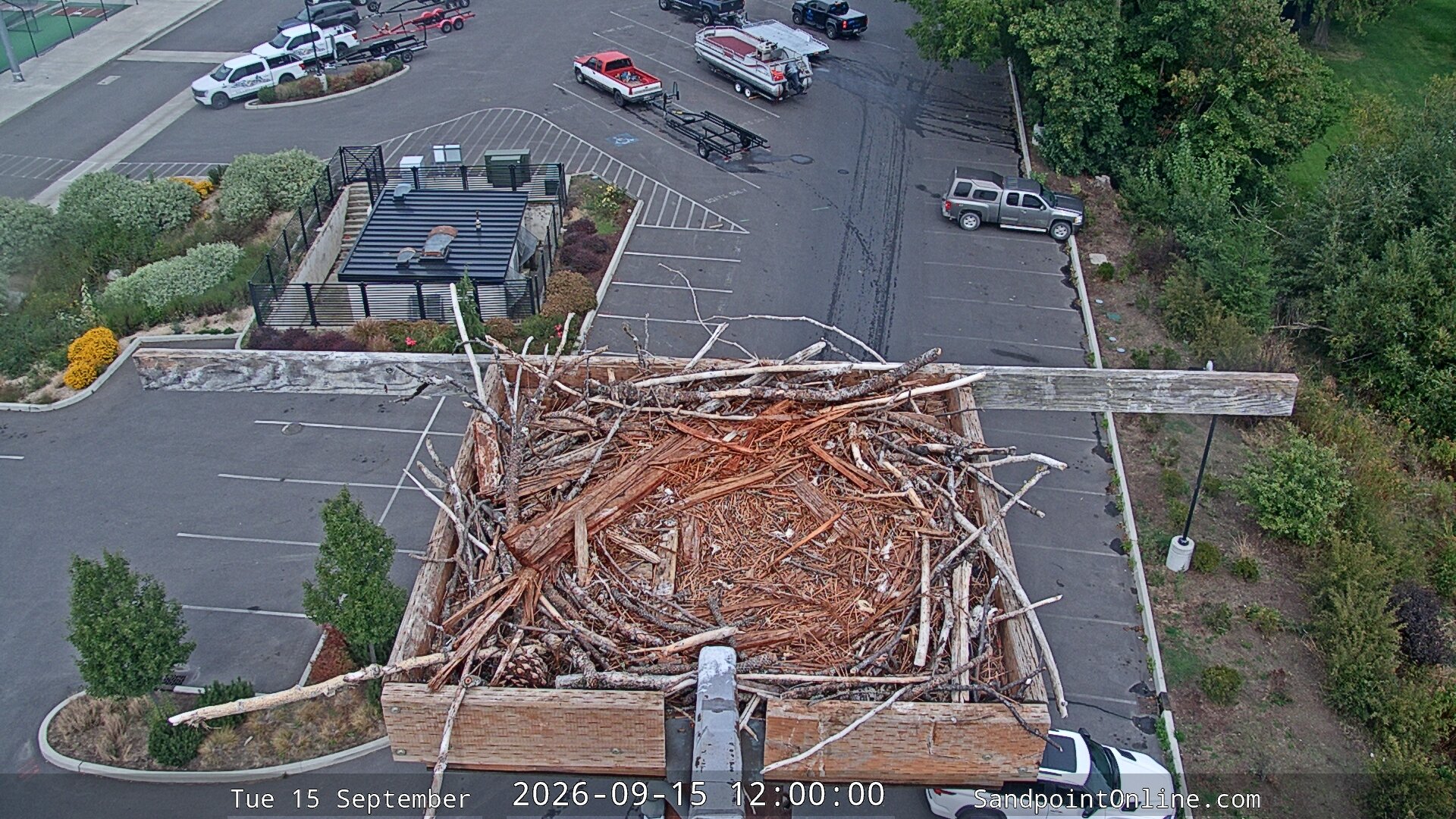 view from Sandpoint Online - Osprey Nest Time-lapse on 2026-09-15