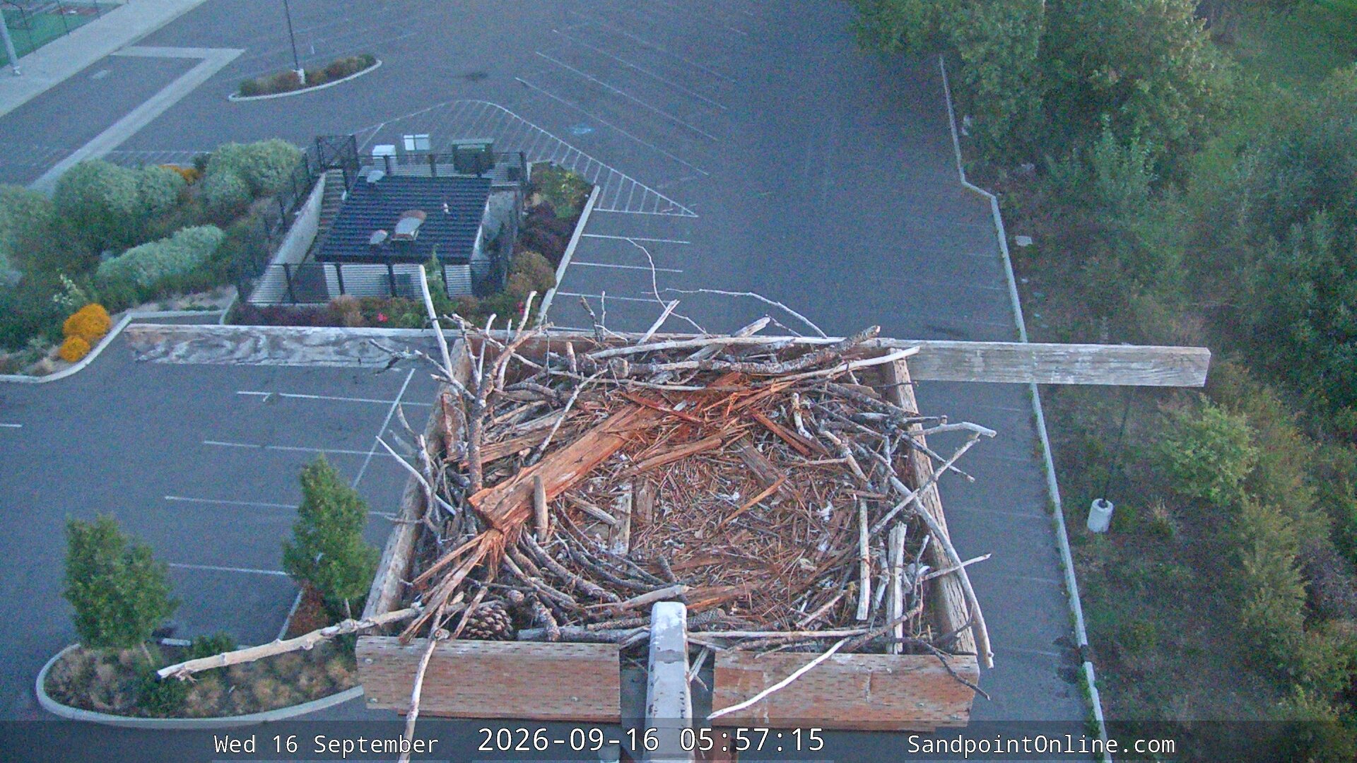 time-lapse frame, Sandpoint Online - Osprey Nest Time-lapse webcam