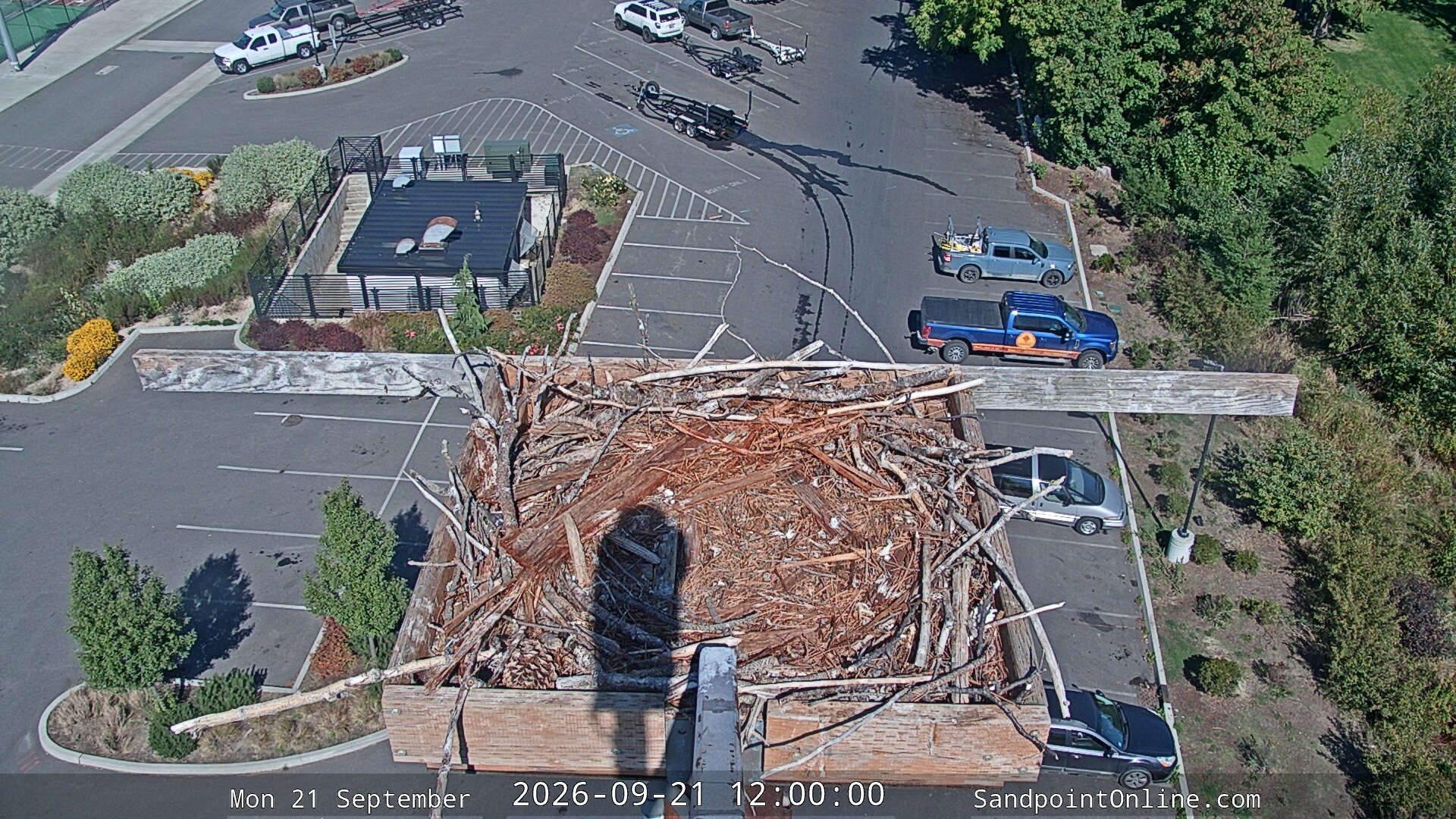 view from Sandpoint Online - Osprey Nest Time-lapse on 2026-09-21