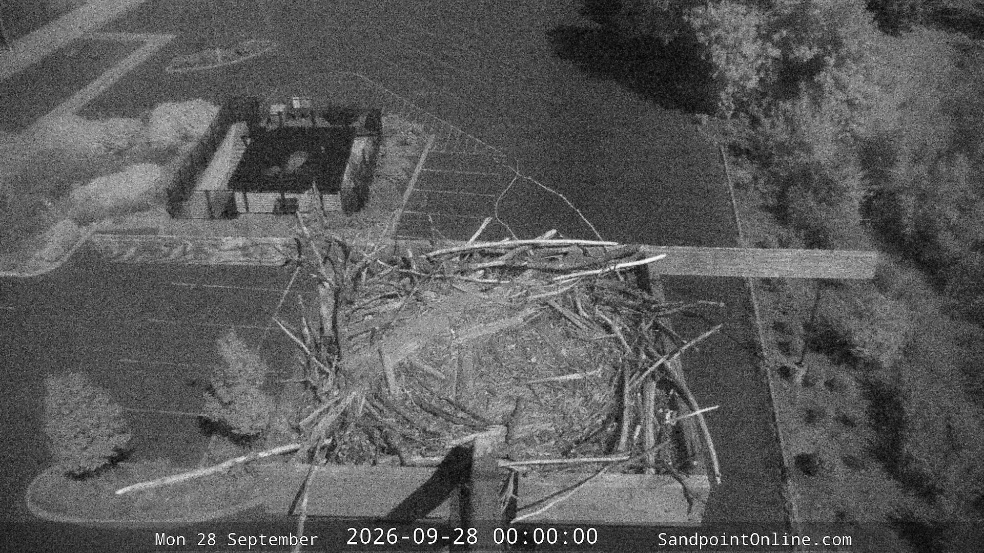 time-lapse frame, Sandpoint Online - Osprey Nest Time-lapse webcam