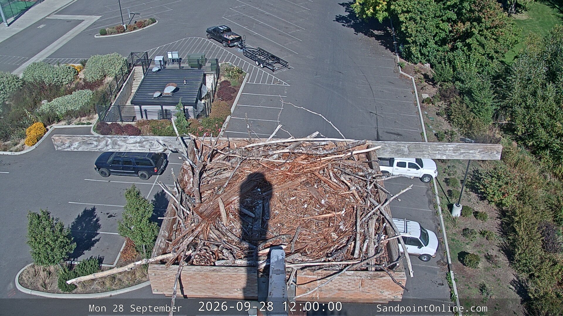 view from Sandpoint Online - Osprey Nest Time-lapse on 2026-09-28