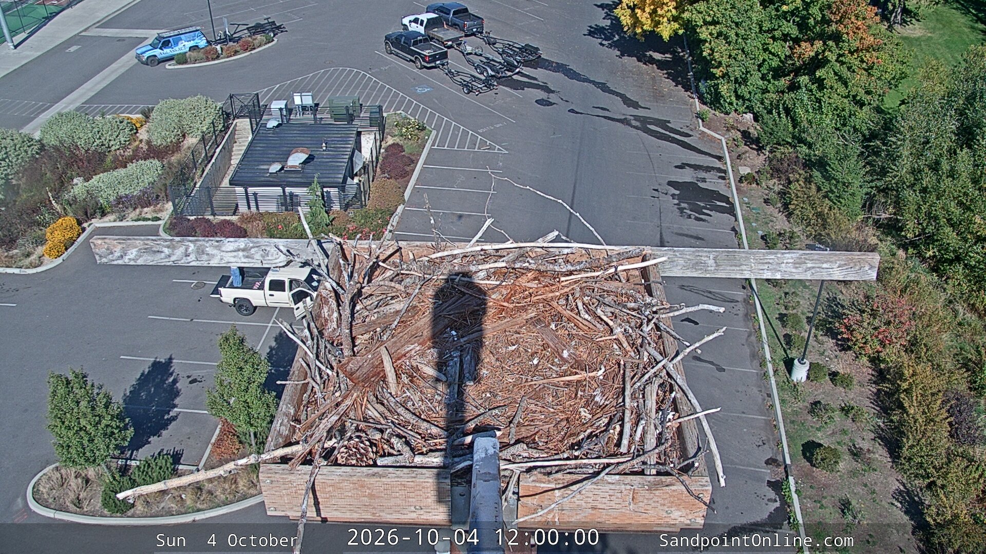 view from Sandpoint Online - Osprey Nest Time-lapse on 2026-10-04