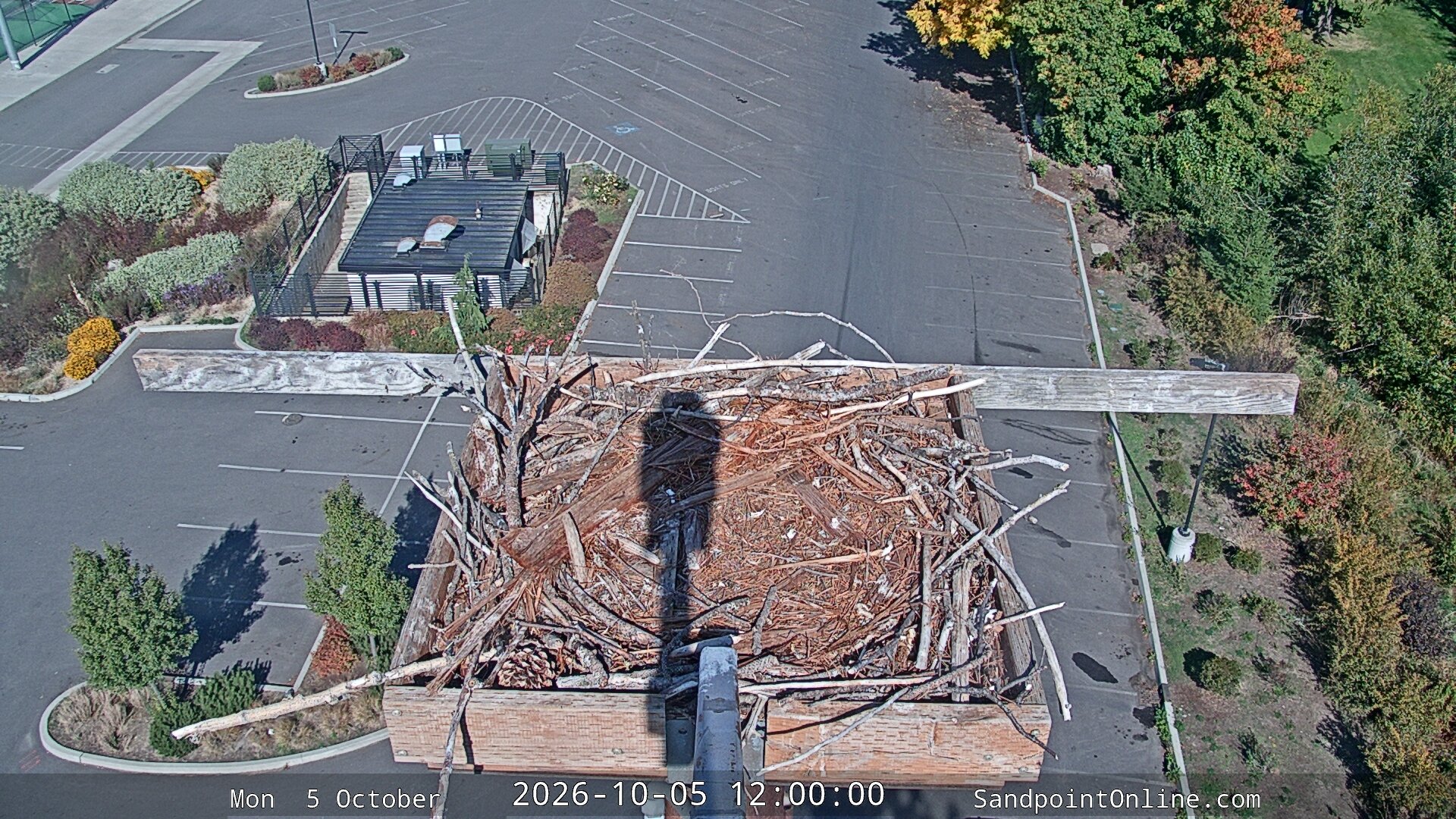 view from Sandpoint Online - Osprey Nest Time-lapse on 2026-10-05