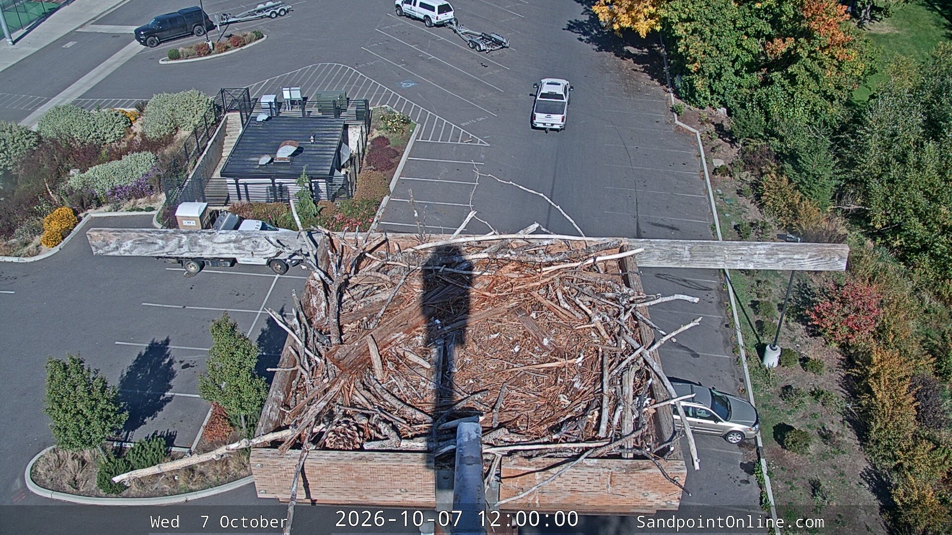 view from Sandpoint Online - Osprey Nest Time-lapse on 2026-10-07