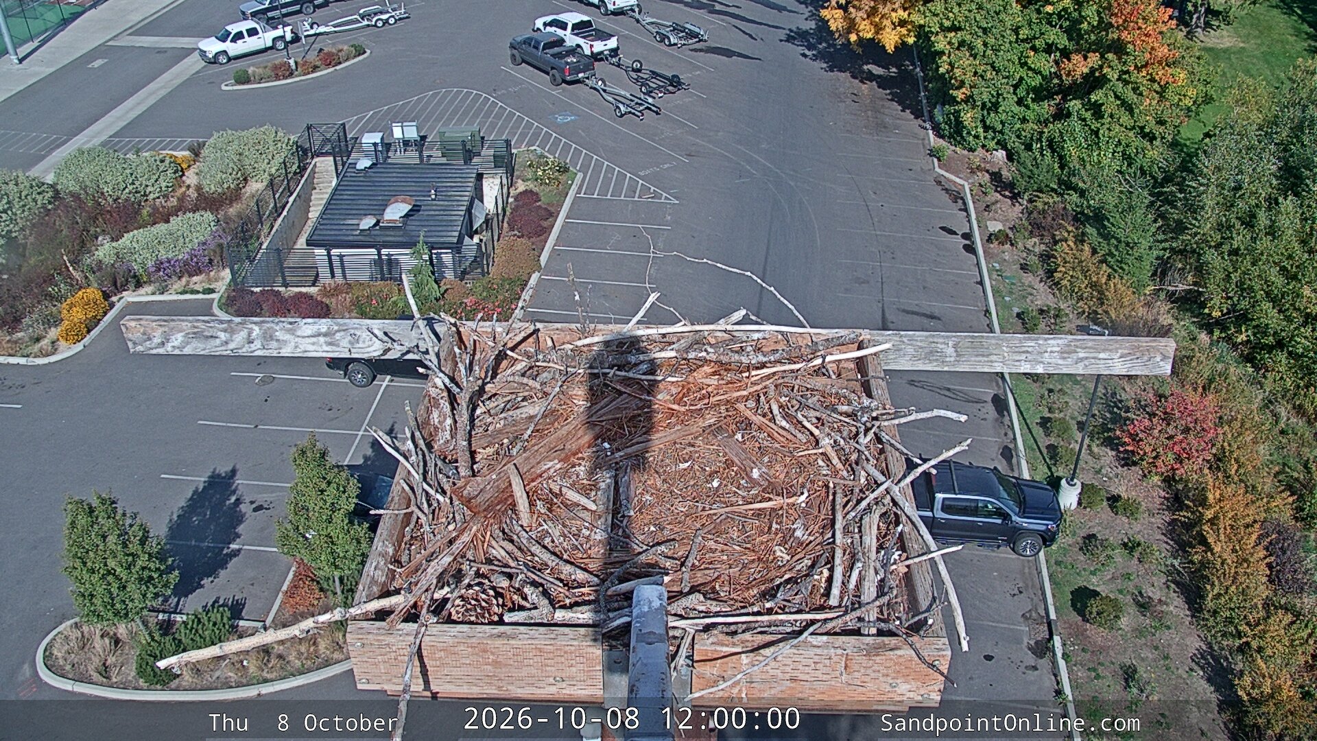 view from Sandpoint Online - Osprey Nest Time-lapse on 2026-10-08