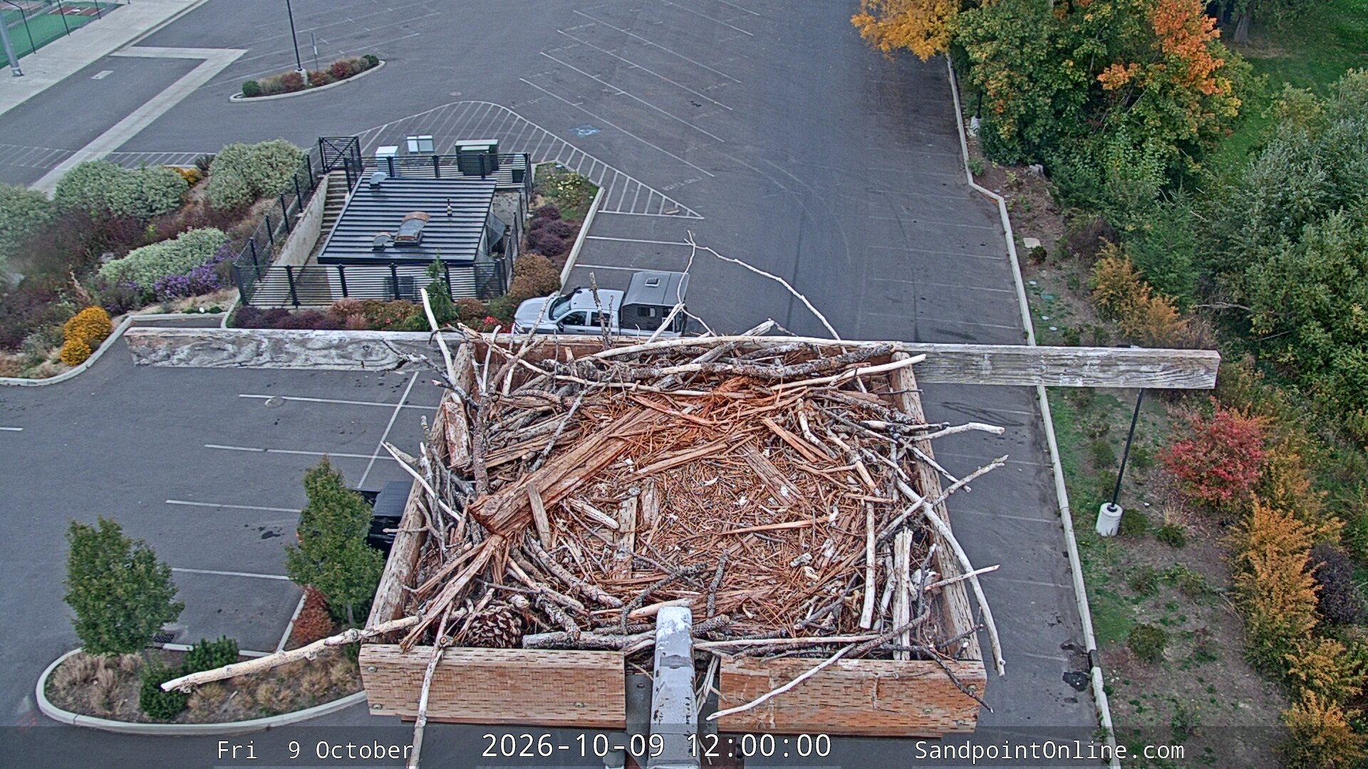 view from Sandpoint Online - Osprey Nest Time-lapse on 2026-10-09