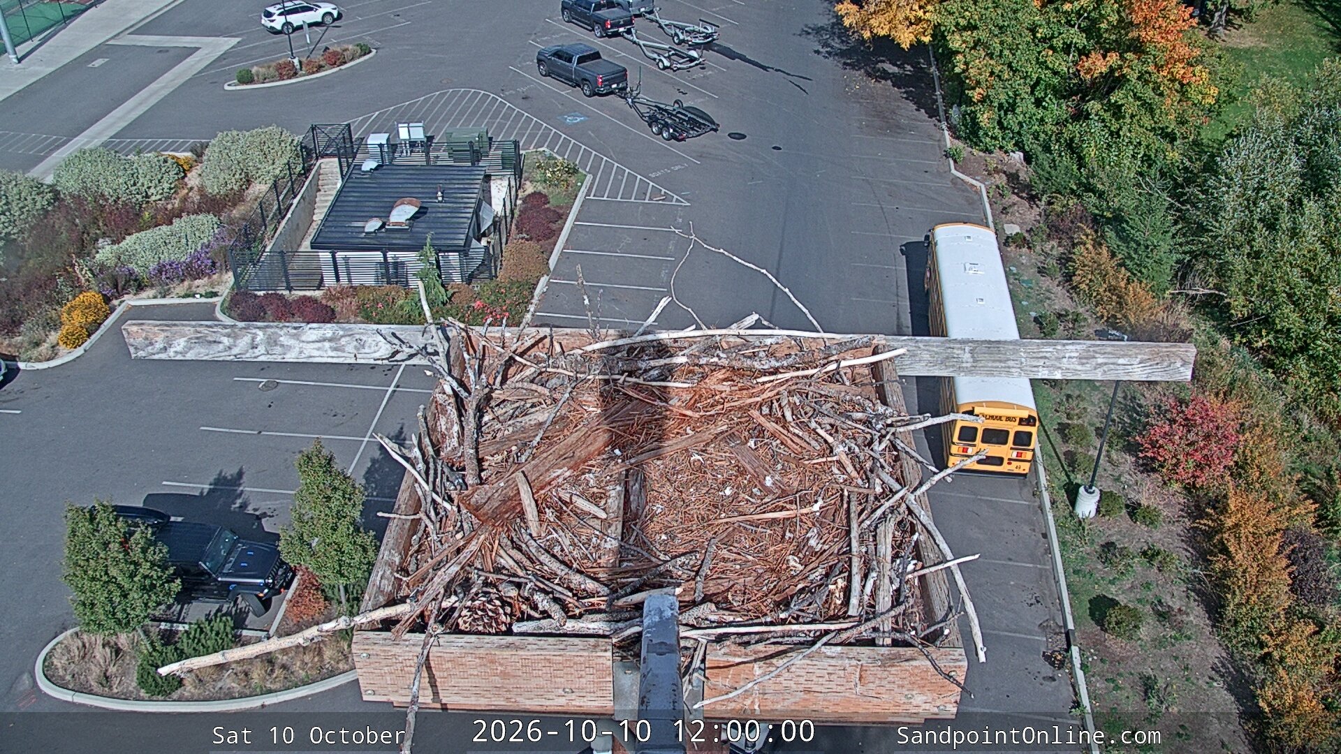 view from Sandpoint Online - Osprey Nest Time-lapse on 2026-10-10