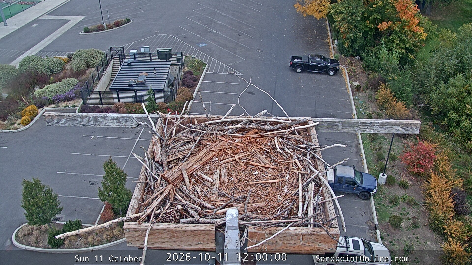 view from Sandpoint Online - Osprey Nest Time-lapse on 2026-10-11