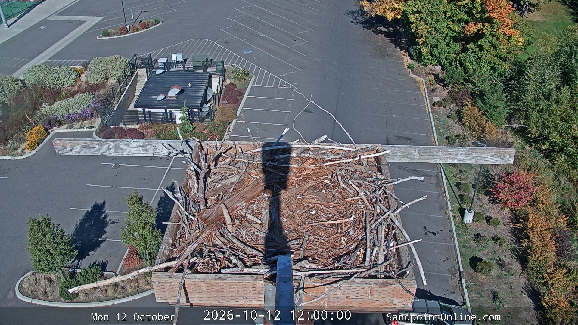 view from Sandpoint Online - Osprey Nest Time-lapse on 2026-10-12