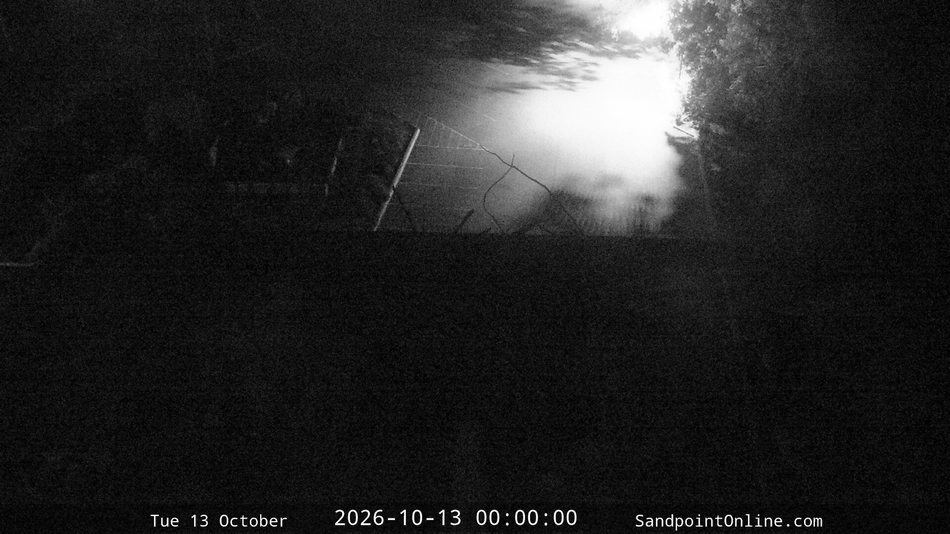 time-lapse frame, Sandpoint Online - Osprey Nest Time-lapse webcam
