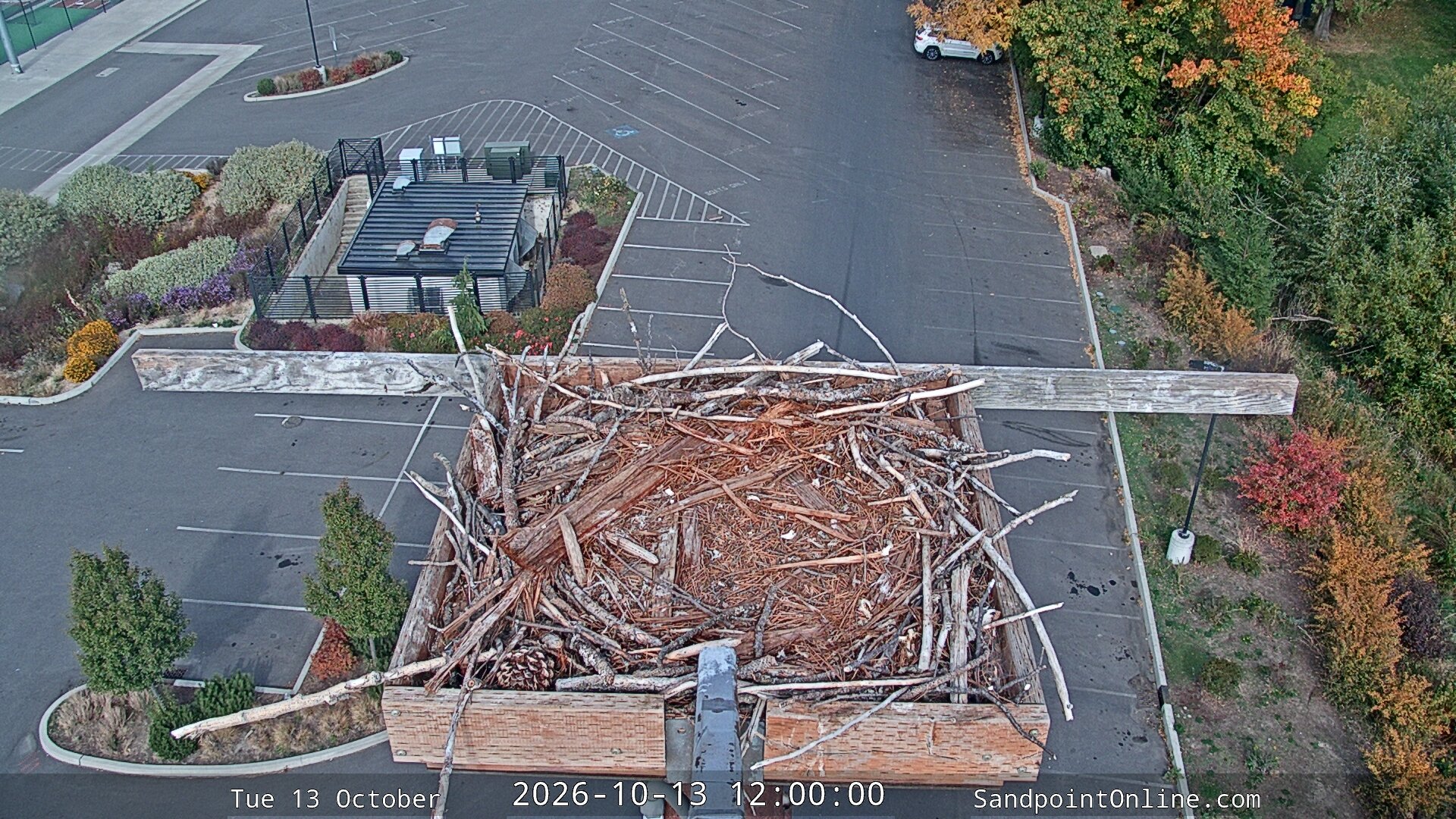 view from Sandpoint Online - Osprey Nest Time-lapse on 2026-10-13