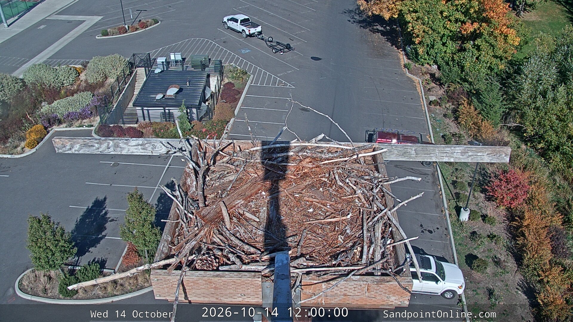 view from Sandpoint Online - Osprey Nest Time-lapse on 2026-10-14