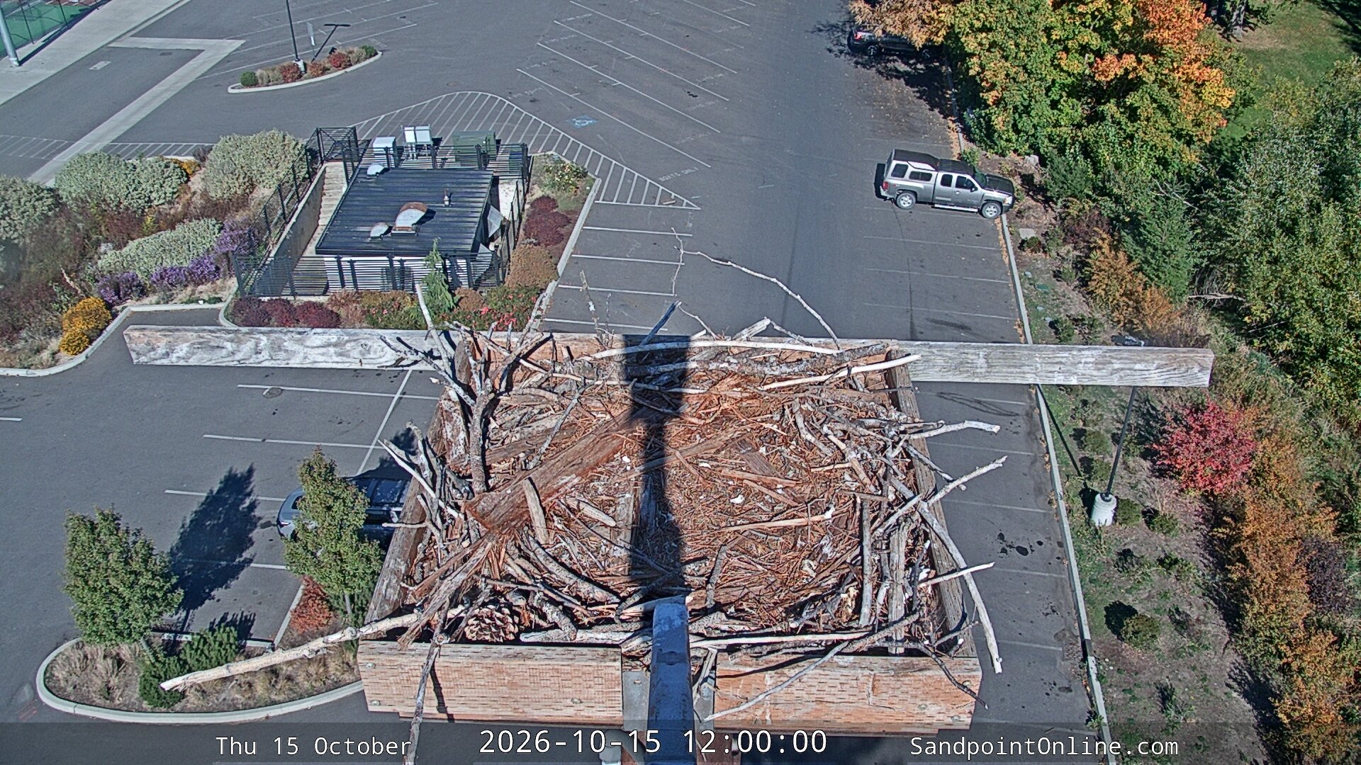 view from Sandpoint Online - Osprey Nest Time-lapse on 2026-10-15