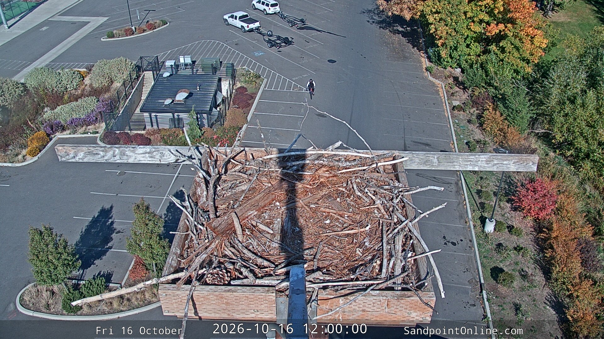 view from Sandpoint Online - Osprey Nest Time-lapse on 2026-10-16