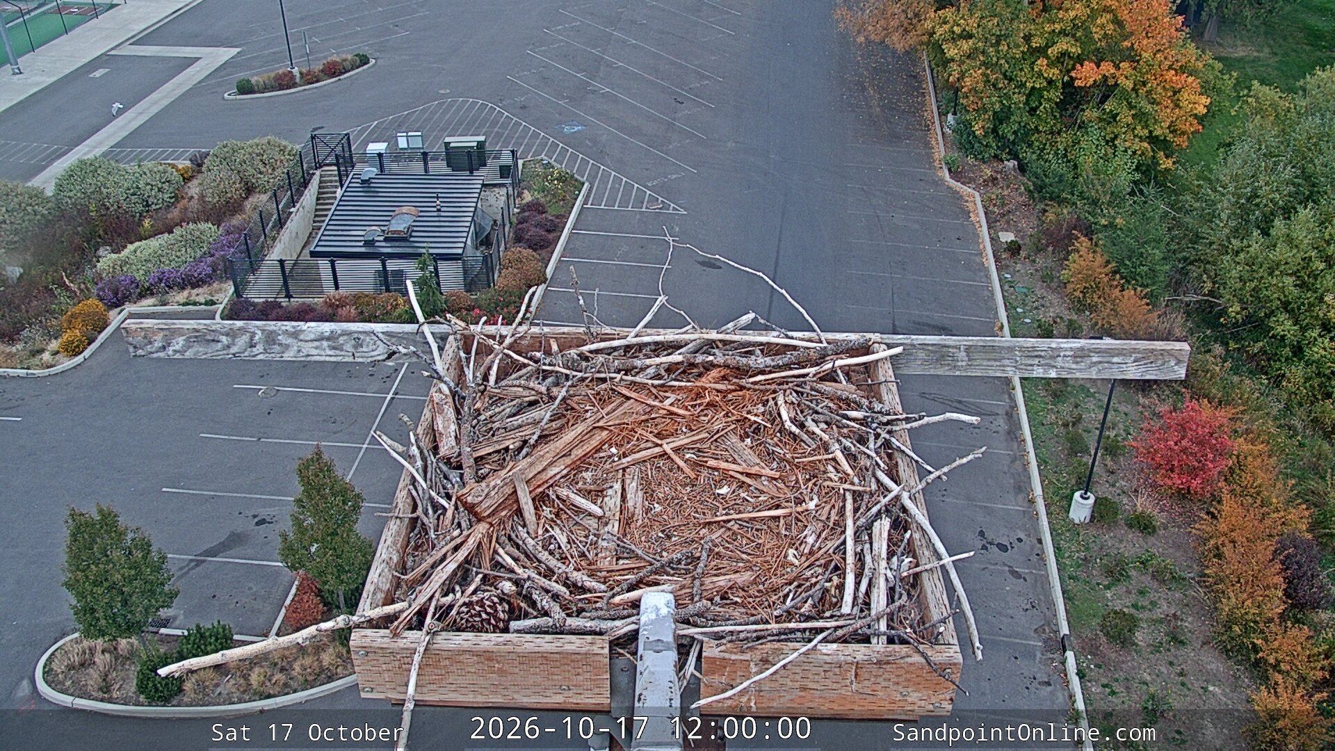 view from Sandpoint Online - Osprey Nest Time-lapse on 2026-10-17