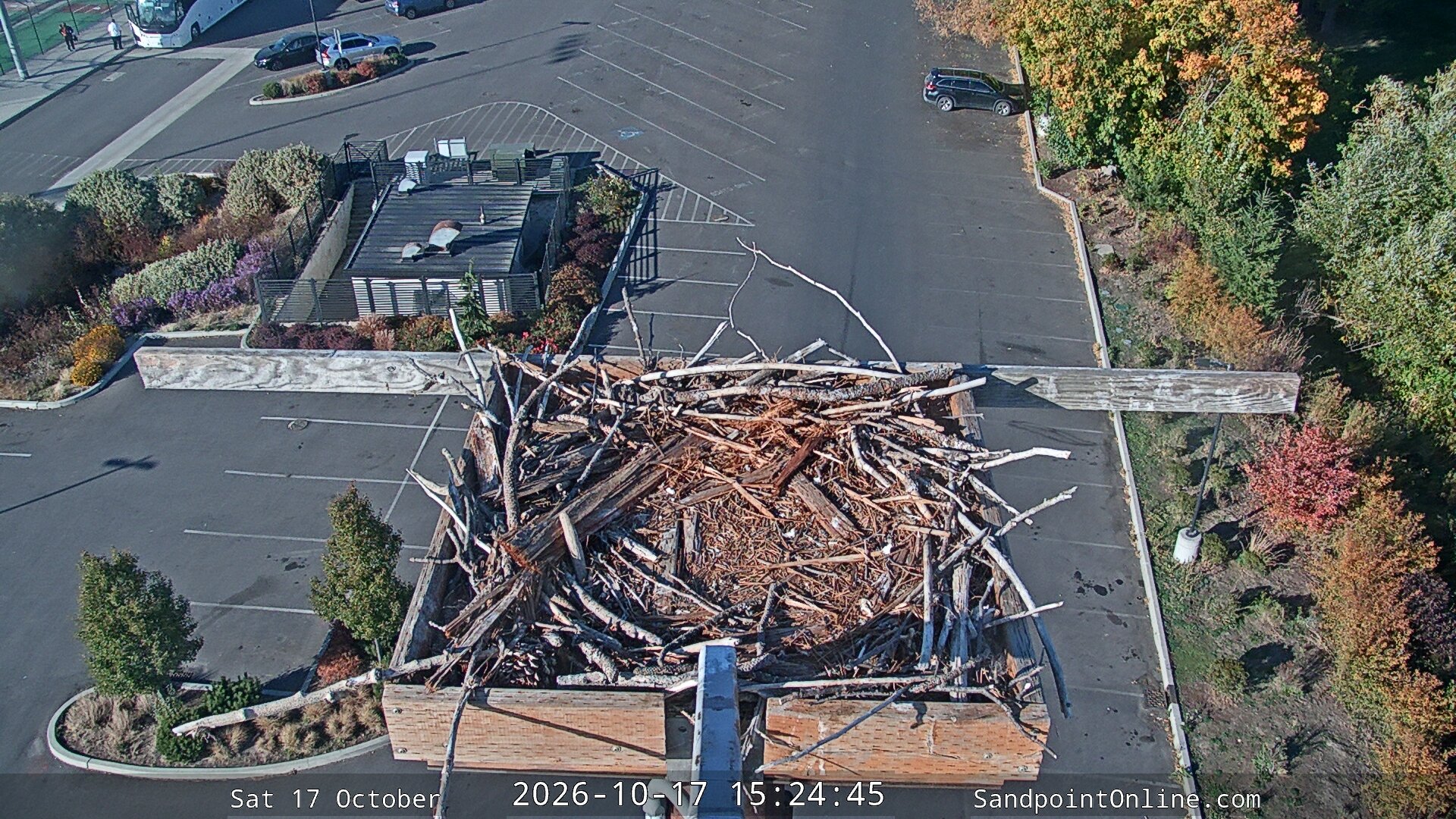 time-lapse frame, Sandpoint Online - Osprey Nest Time-lapse webcam