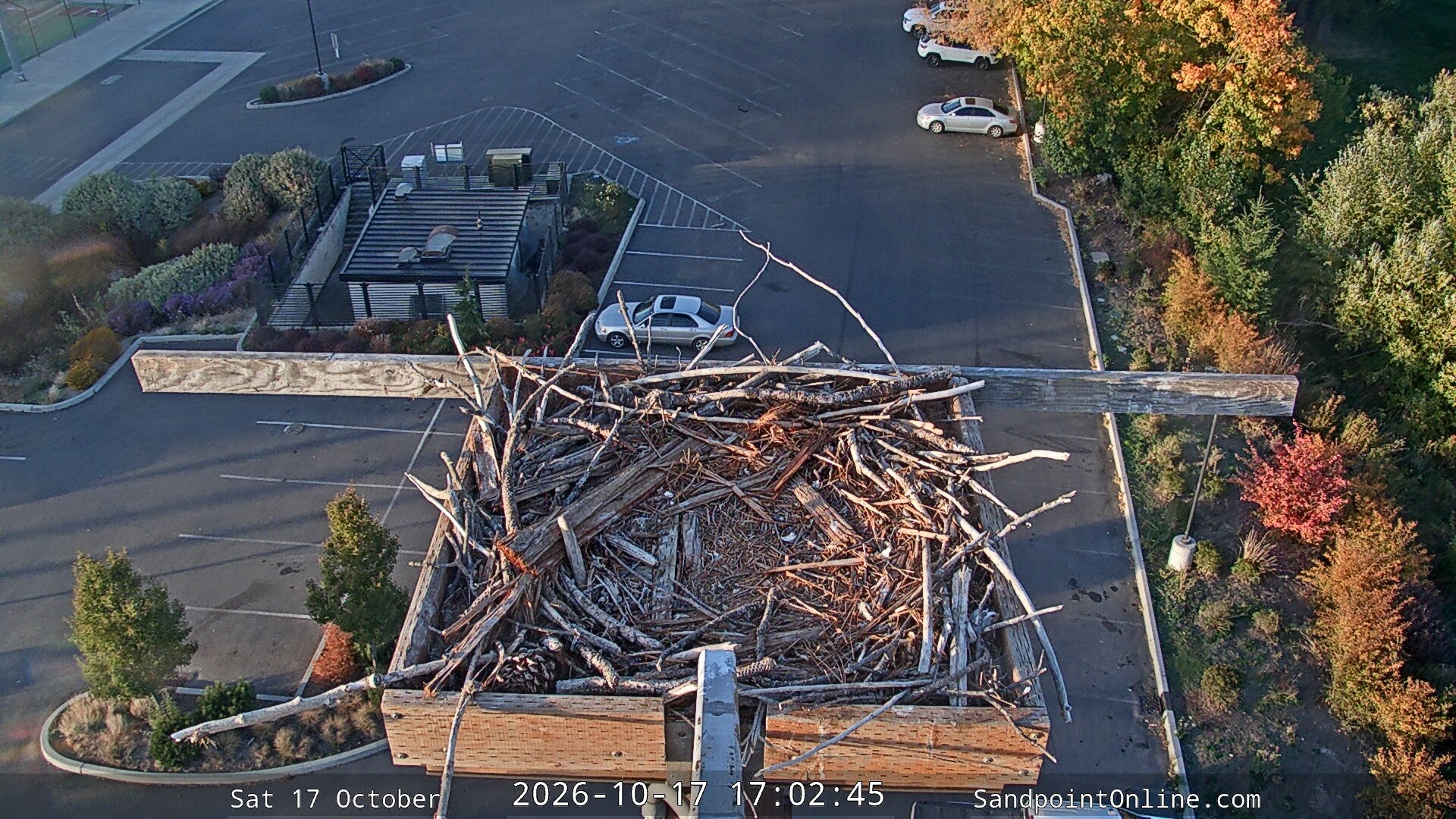 time-lapse frame, Sandpoint Online - Osprey Nest Time-lapse webcam