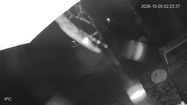 time-lapse frame, Thirsty Moose webcam