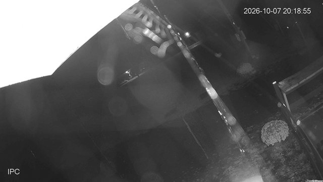 time-lapse frame, Thirsty Moose webcam