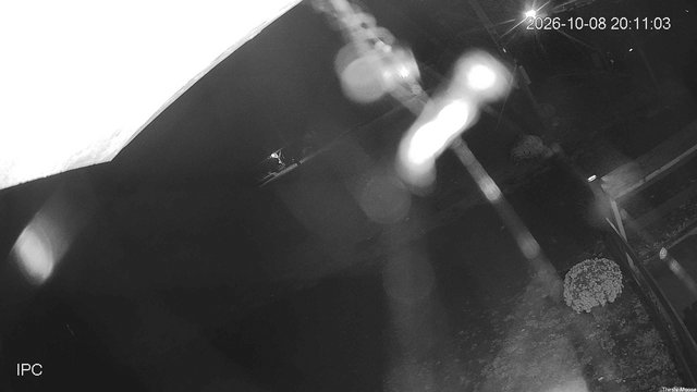 time-lapse frame, Thirsty Moose webcam