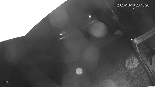 time-lapse frame, Thirsty Moose webcam