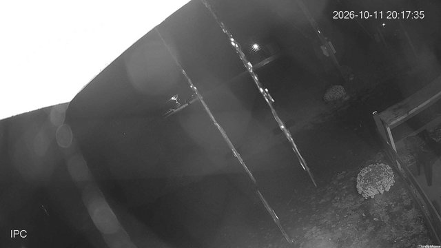 time-lapse frame, Thirsty Moose webcam