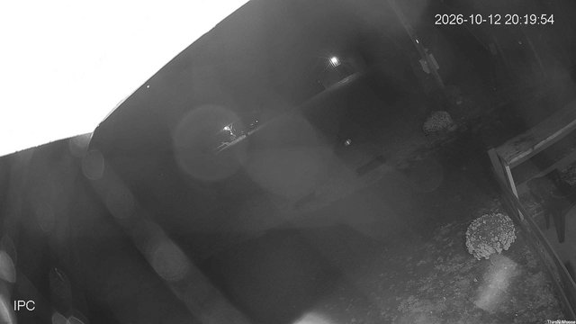 time-lapse frame, Thirsty Moose webcam