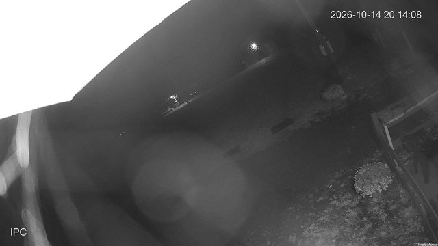 time-lapse frame, Thirsty Moose webcam