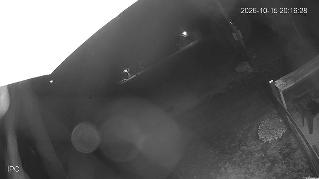 time-lapse frame, Thirsty Moose webcam