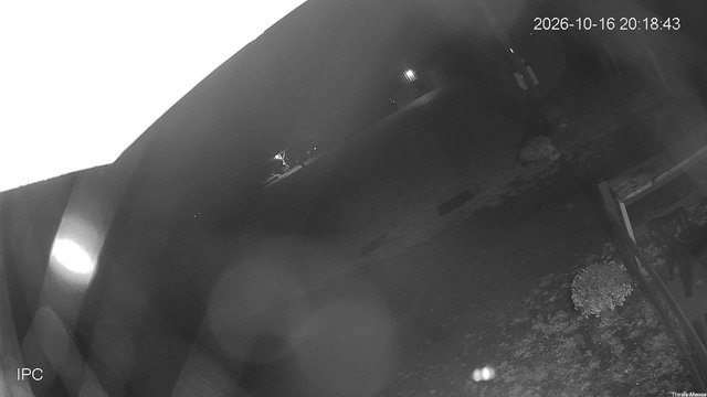 time-lapse frame, Thirsty Moose webcam