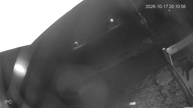 time-lapse frame, Thirsty Moose webcam