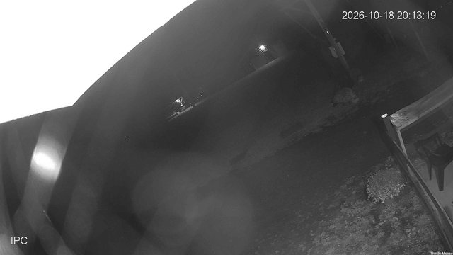 time-lapse frame, Thirsty Moose webcam