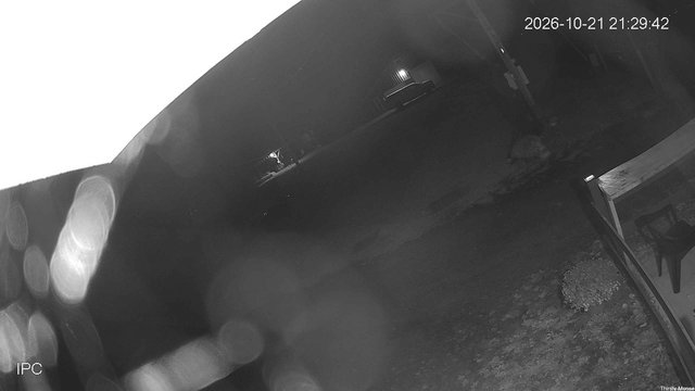 time-lapse frame, Thirsty Moose webcam
