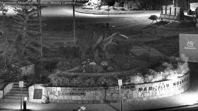 time-lapse frame, Mammoth Main Lodge Woolly webcam