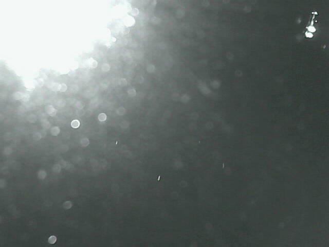time-lapse frame, Cowes Yacht Club - West webcam
