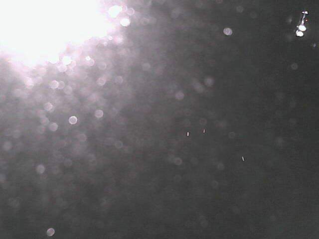 time-lapse frame, Cowes Yacht Club - West webcam
